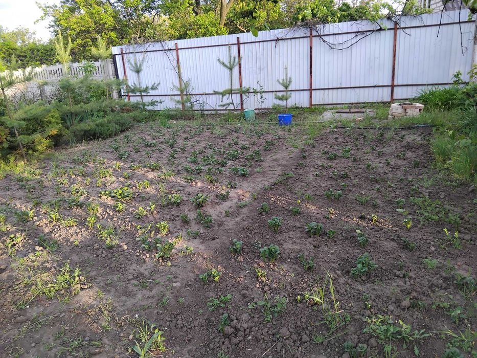 Продам дачу Шинник -2