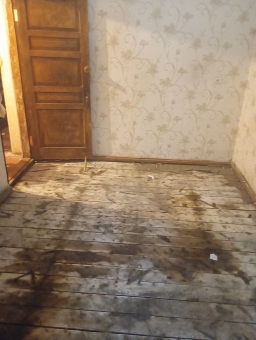 Уничтожение тараканов клопов блох крыс Устранить Трупный Запах Плесень