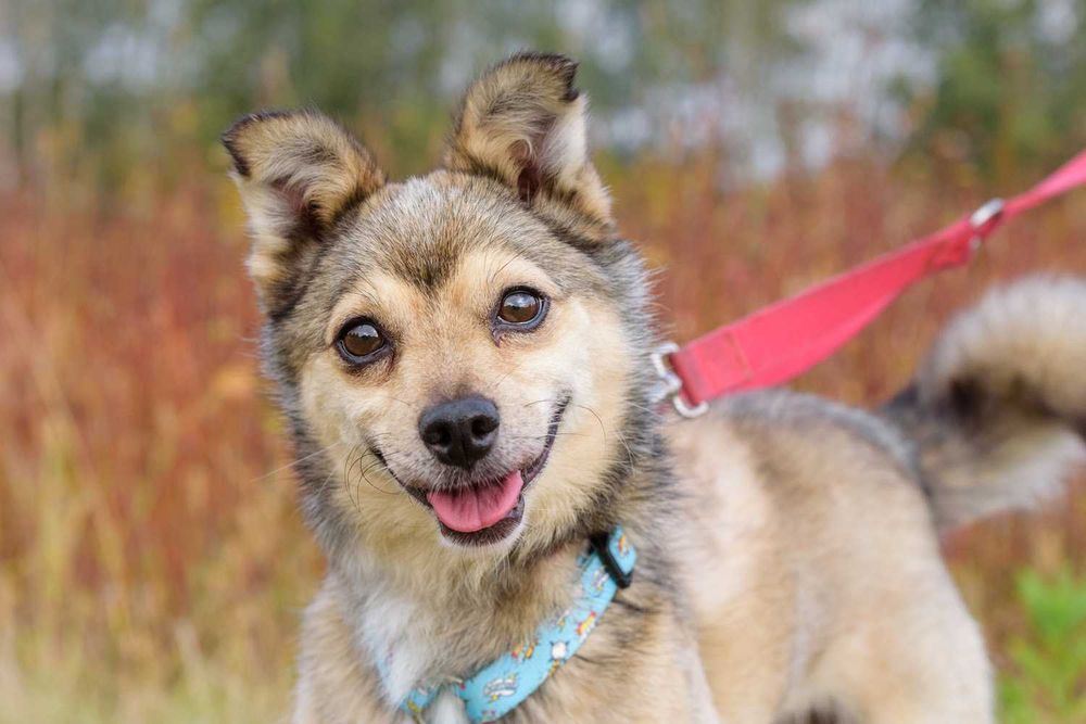 SEIKO - wesoły i rezolutny maluch z charakterkiem