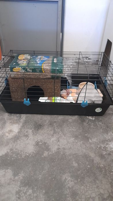 Gaiola completa para Coelho