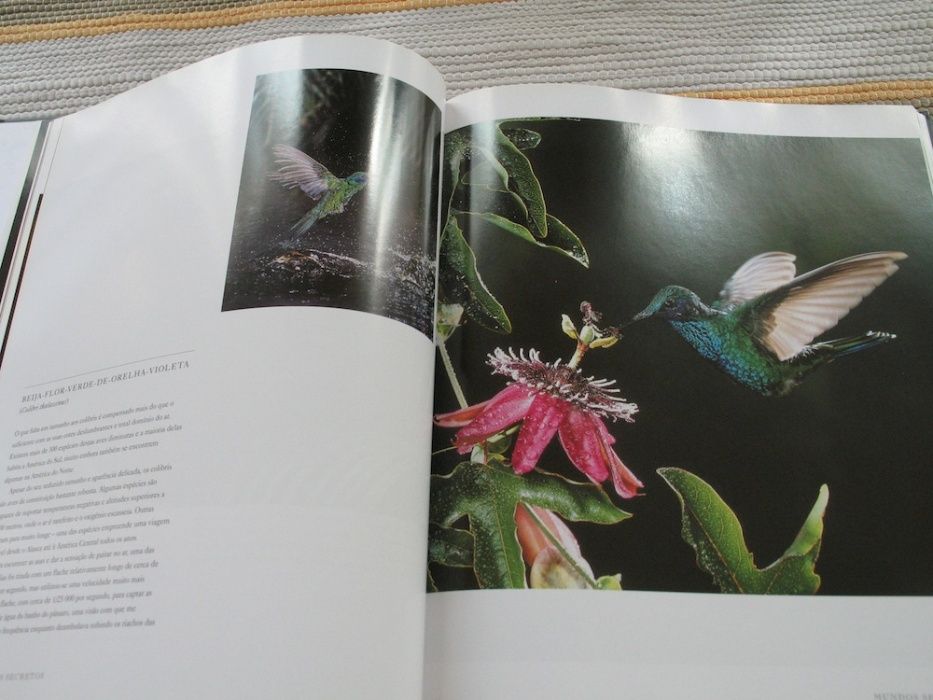 Mundos Secretos - Stephen Dalton