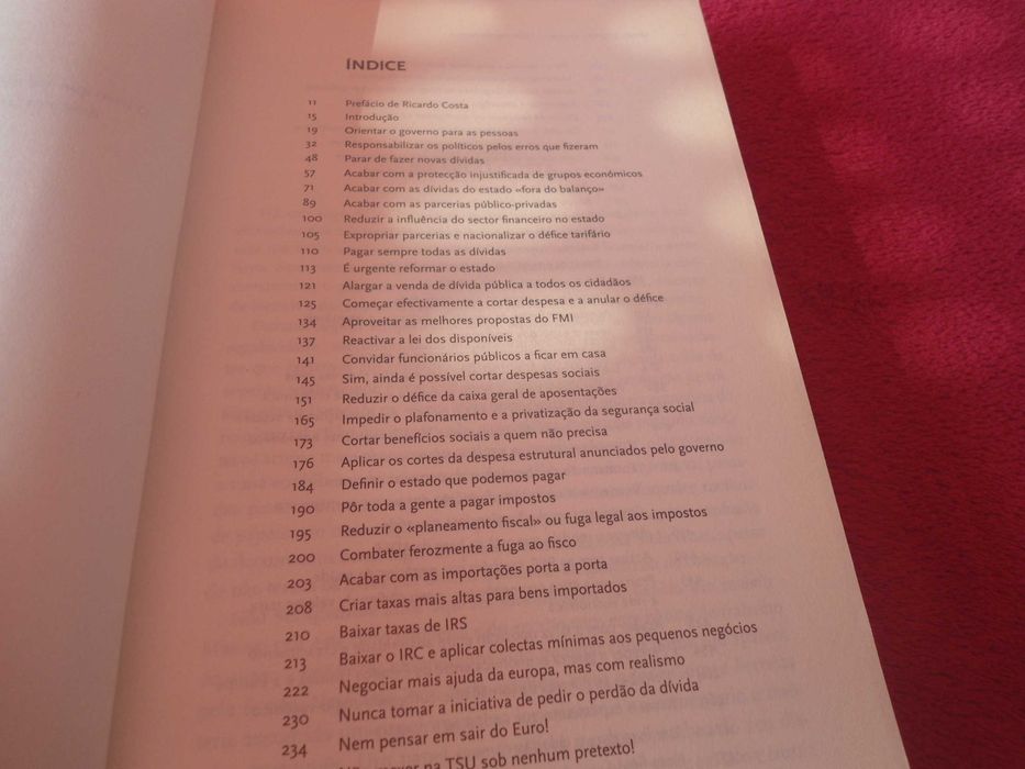 O Meu Programa de Governo por José Gomes Ferreira