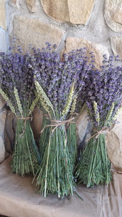 Лаванда букети, лаванда зрізи