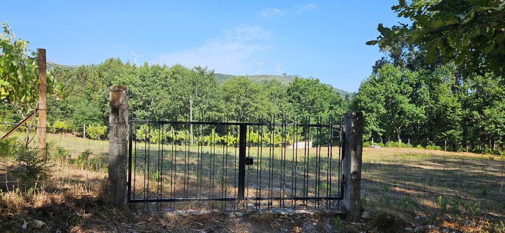 Terreno agrícola com 8.700 m² em Basto (S. Clemente), Celorico de Basto