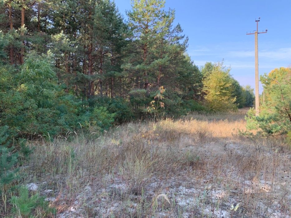 Кийлов участок от 60 соток с выходом на речку Павловка