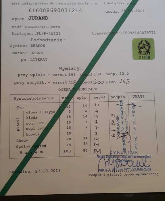 Ogier śląski Jurand możliwa zamiana