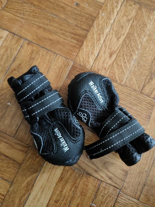 Buty dla małego psa