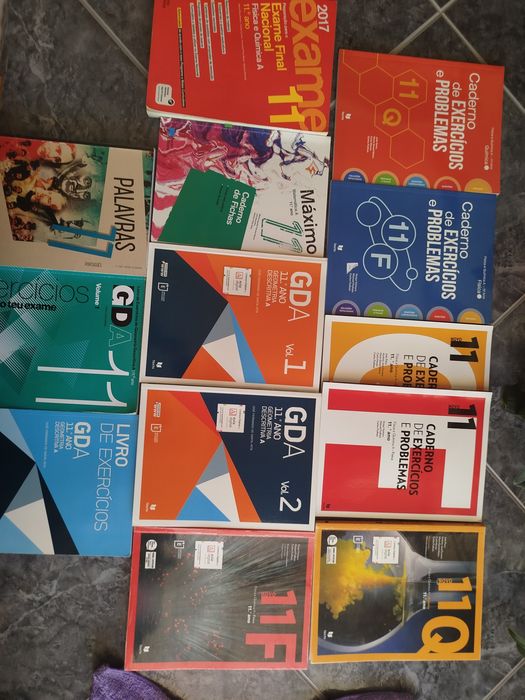 Vários manuais/ livros fichas 5° ao 11° anos