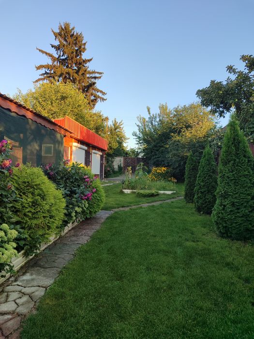 Відпочинок на Десні
