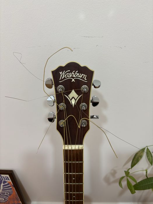 Guitarra Acústica Washburn WD10SNS