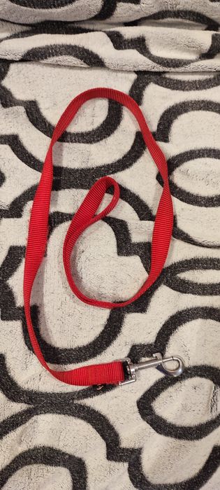 Tapete refrescante + trela