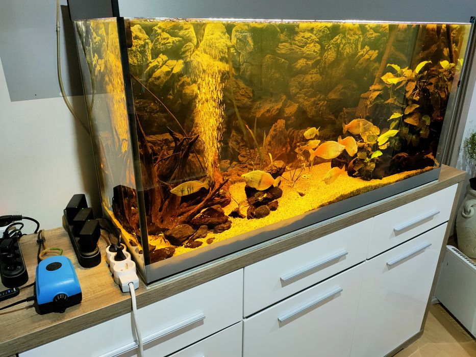 Akwarium 288 litrów ( 120x60x40 )