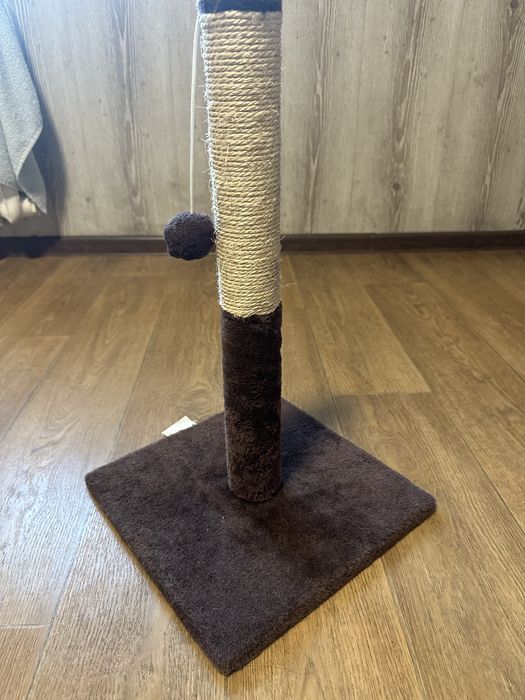 Когтеточка для кошки