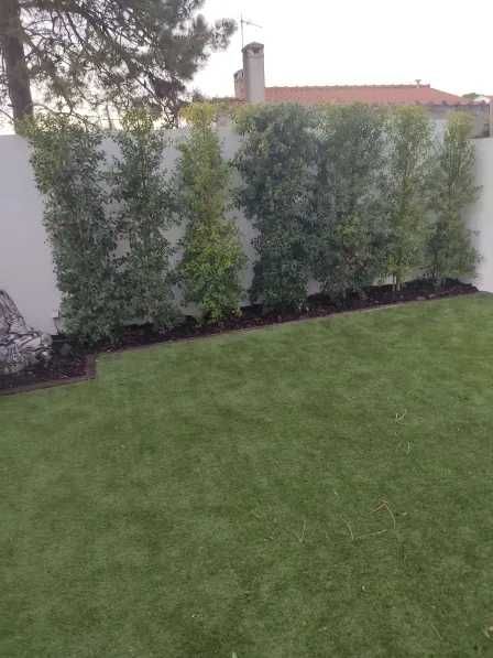 Serviços de Jardinagem