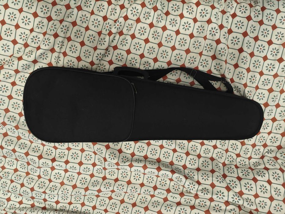 Violino Carlo Giordano