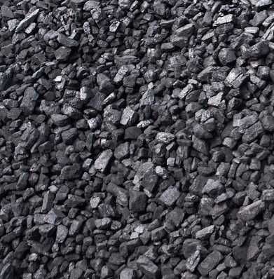 Węgiel Groszek - odkamieniony - SUCHY! - workowany