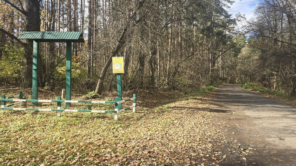 Продаж ділянки с. Бистри, крайня до лісу (26140646)