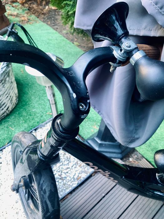 Rowerek biegowy Cariboo Magnesium Pro
