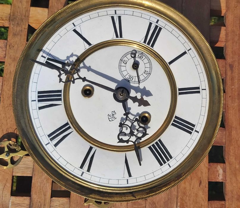 Gustav Becker żyłkowiec