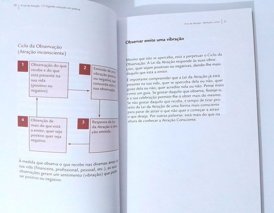 A Lei da Atração - Michael J. Losier