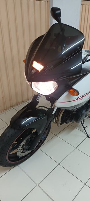 Yamaha TDM 900 [ 2008 ]