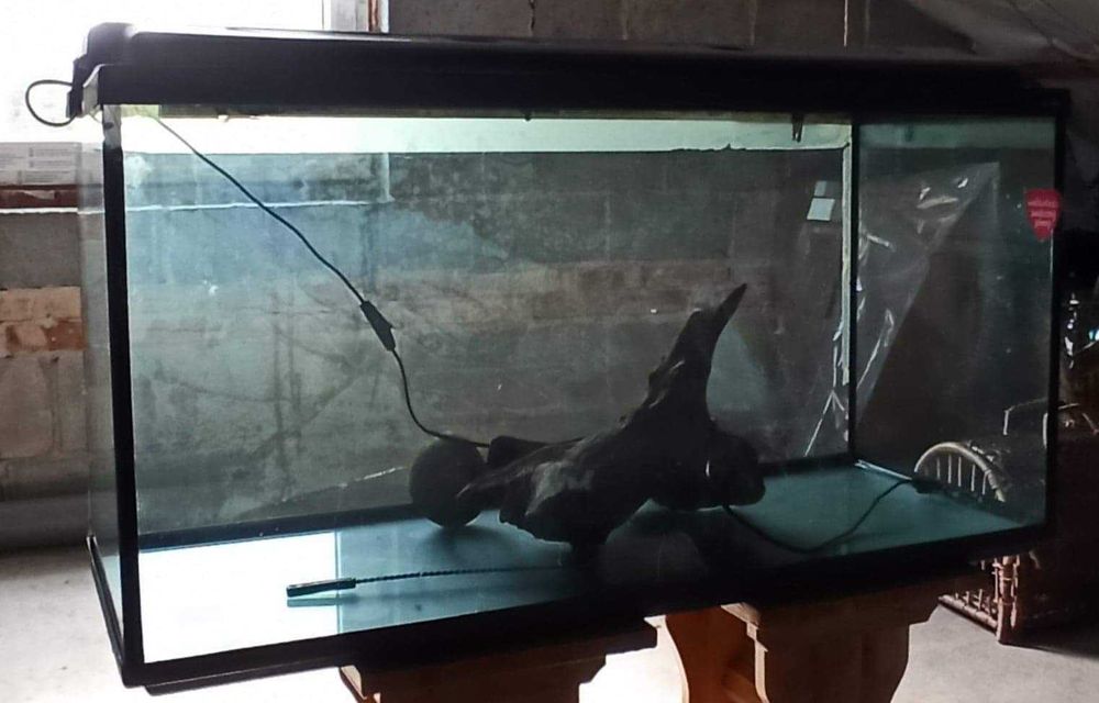 Akwarium 150 litrów