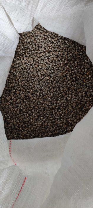 Łubin gorzki czyszczony