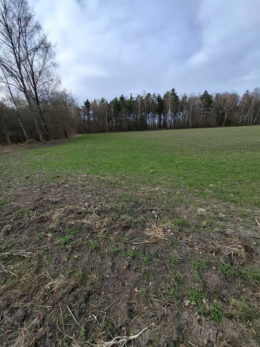 Działka  3,53 w Charnowie w sąsiedztwie doliny Charlotty 4 km od Ustki - Widok 4