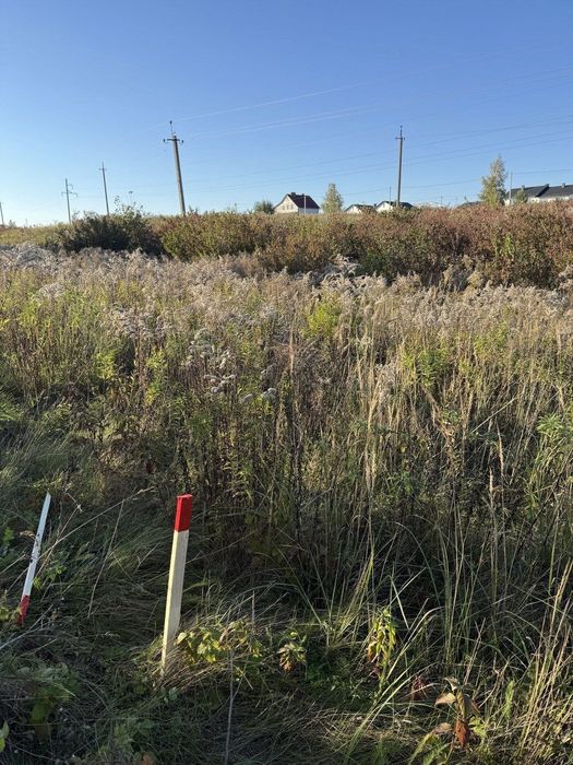 Земельна ділянка 40 сот (с.р. Білокриницька)