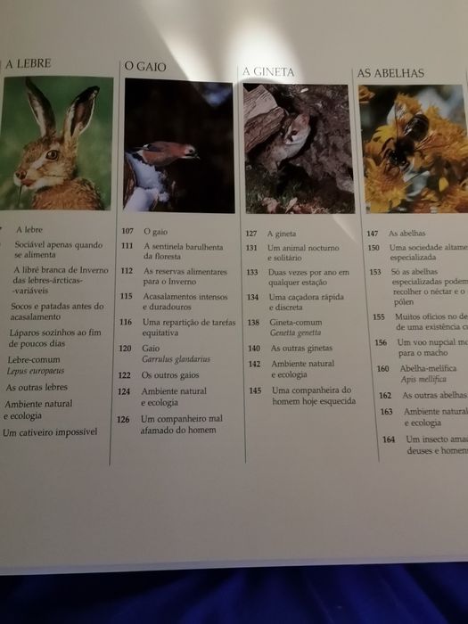 Vida Selvagem : Animais dos litorais e ilhas, Animais dos bosques...