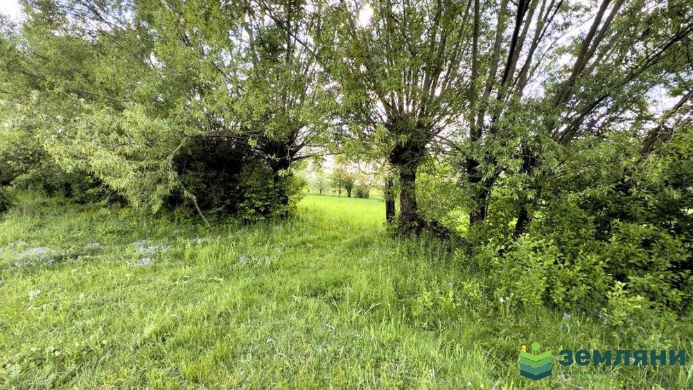 Продається ділянка 23 сот в с. Березівка (7)