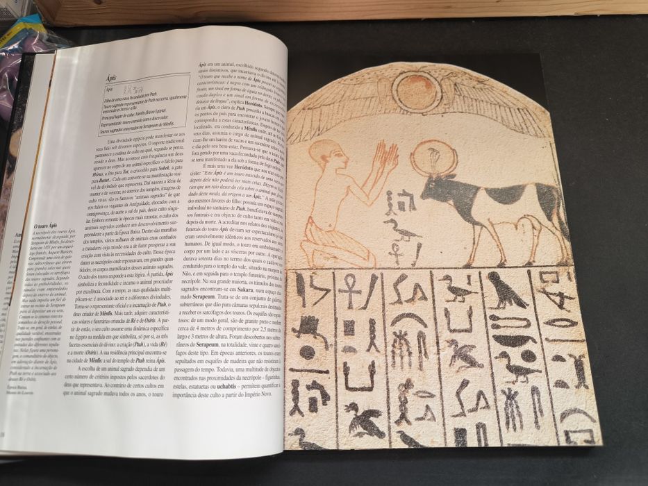 Livro: A Mitologia Egípcia – Aude Gros de Beler