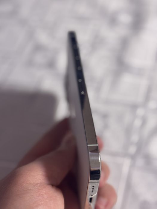 iPhone 12 Pro Max 256 GB Silver Neverlok