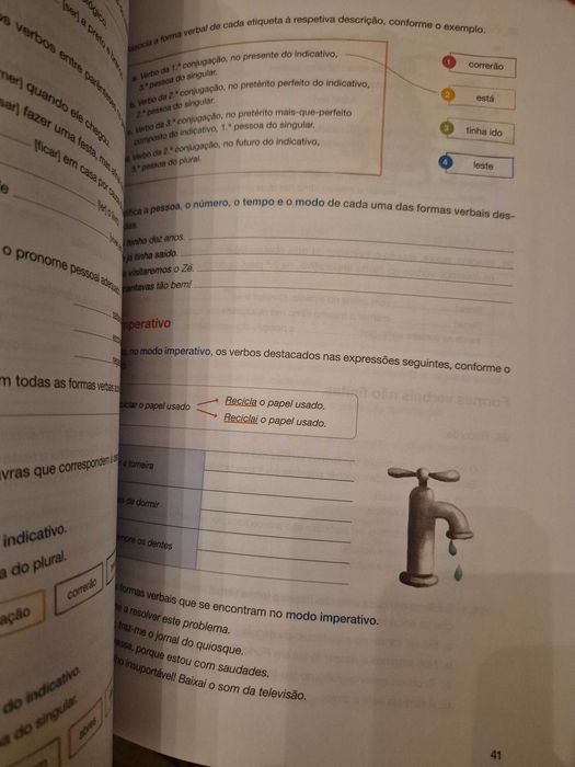 Cadernos de atividades 5.° e 7.° ano