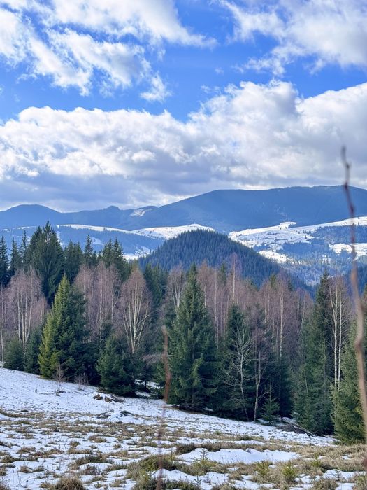 Земля 3,64 га у Карпатах, вид на Чорногірський хребет, під будівництво
