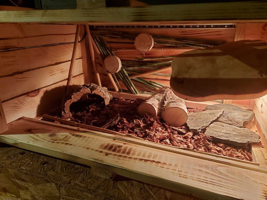 Terrarium pustynne dla żółwia,jeża,gryzonia