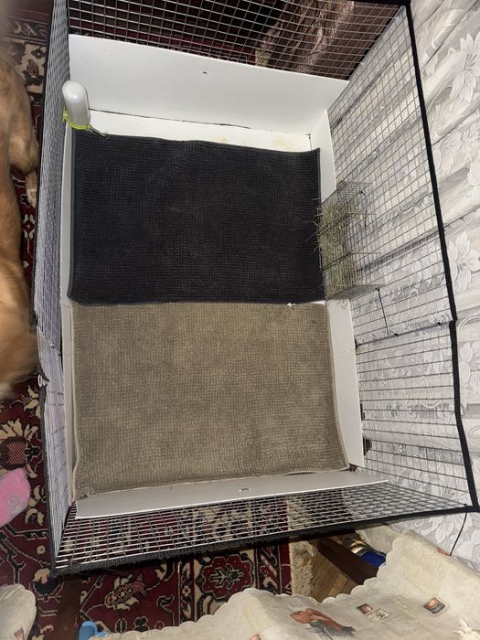 Вольер для морской свинки