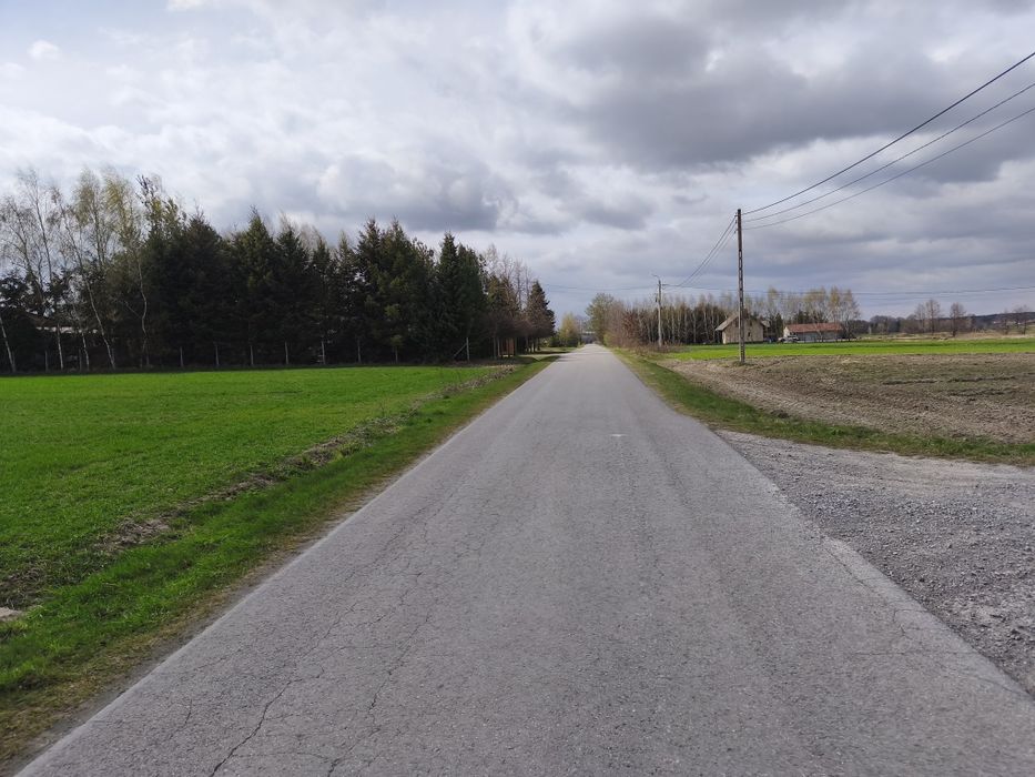 Zdjęcie 6