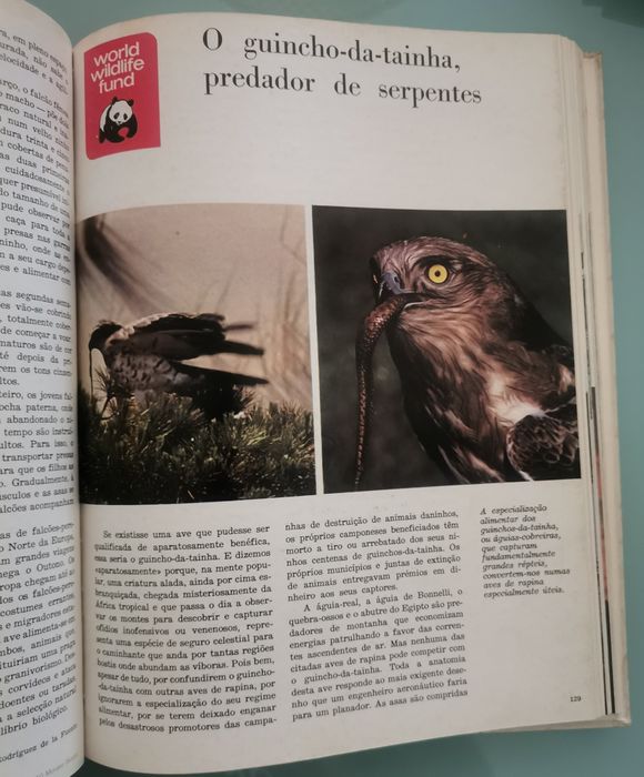 Animais em perigo