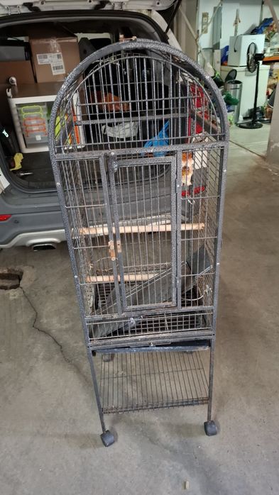 Gaiola papagaio usada