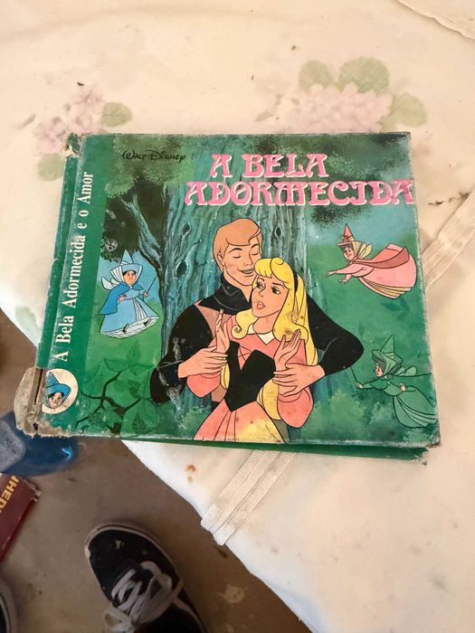 livro a bela adormecida