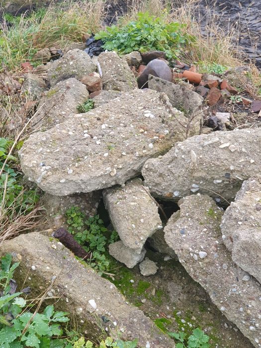 Oddam  dużo gruzu cegły dachówki  tynk