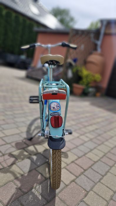 Rower dziecięcy Triumph Springtime 7
