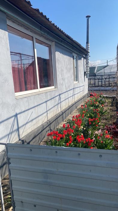 Приватний будинок