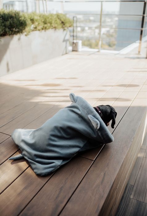 Лежак для собаки. Петбед нірка. Портативний килимок. Лежанки