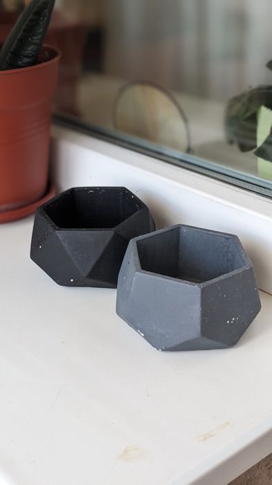 Горщики для сукулентів чи моху