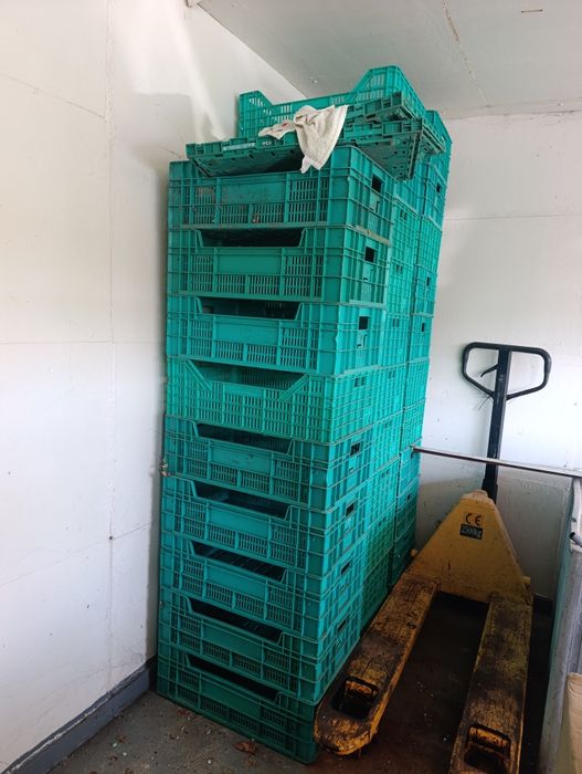 Caixas de plástico, frutas ou hortícolas