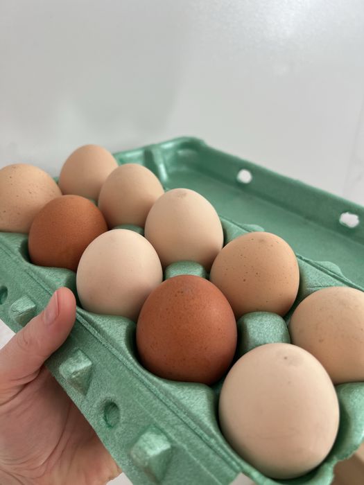 Jajka wiejskie sprzedaz duza ilosc