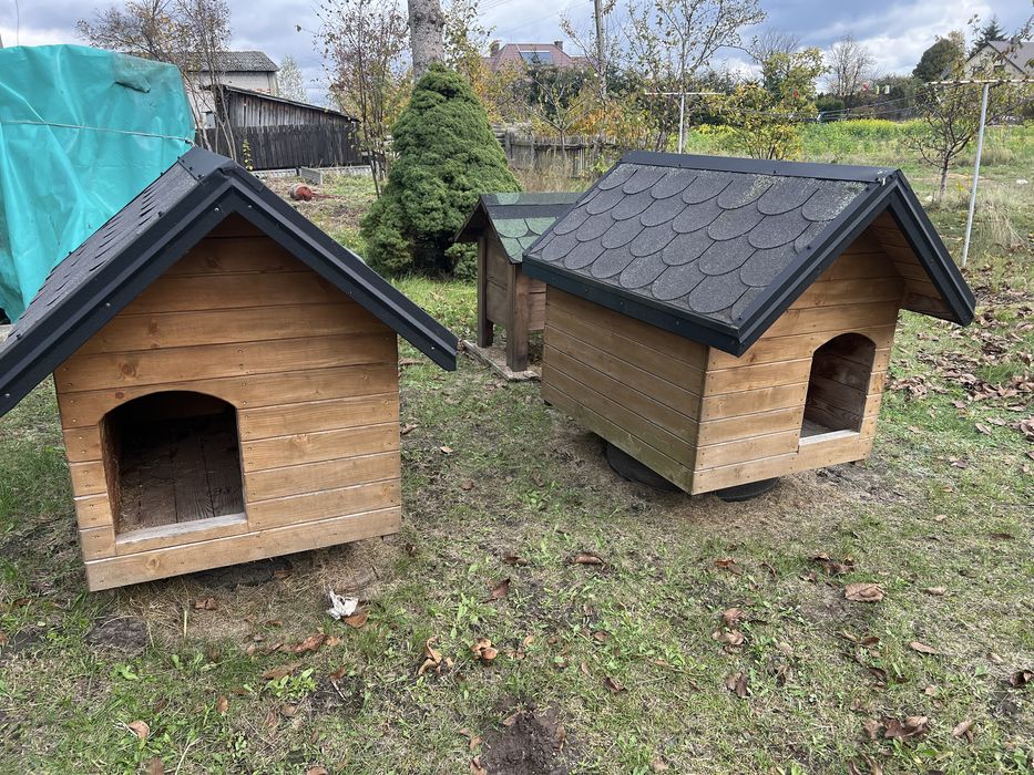 Buda dla psa solidna