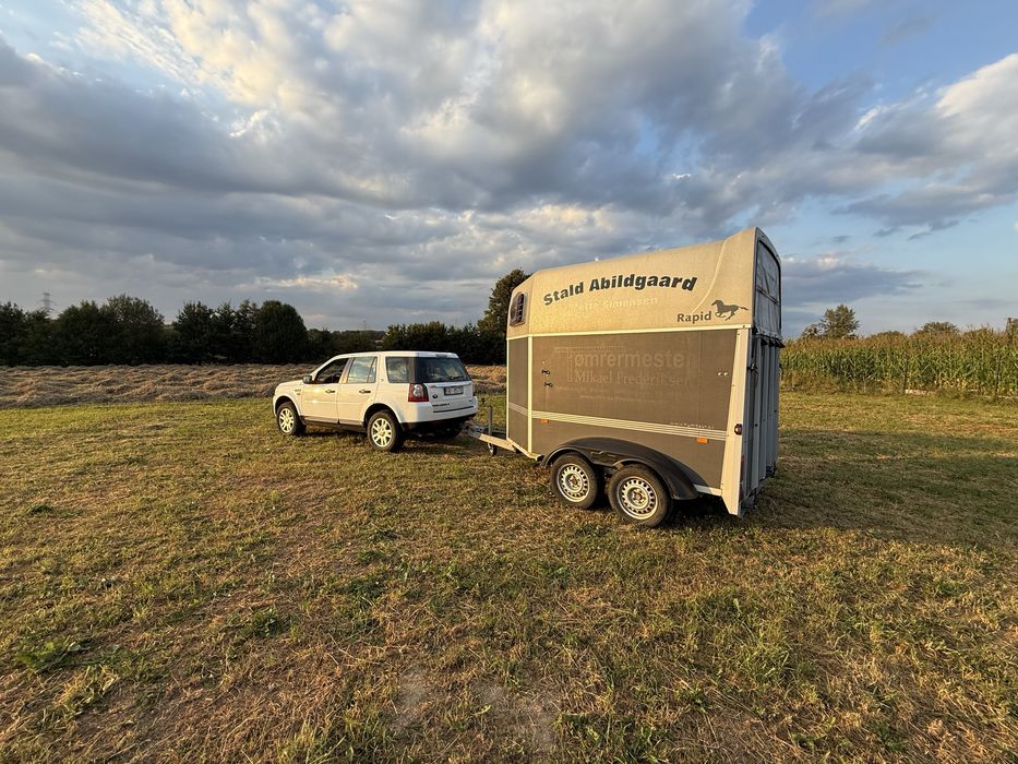 Przyczepa do przewozu koni konna zwierząt humbaur  rapid koniowóz